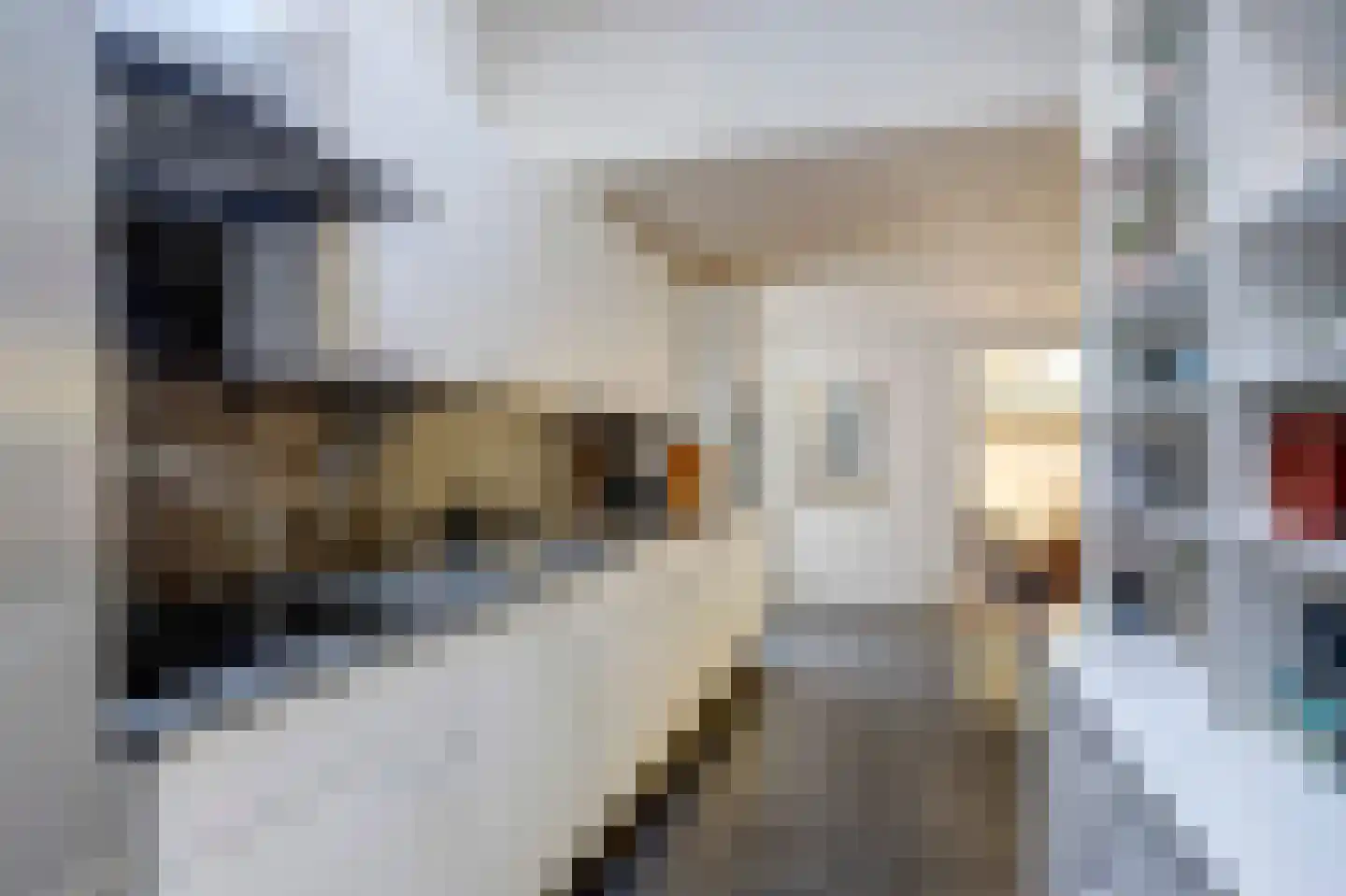 Koepoortstraat 13 Middelburg thumbnail 24