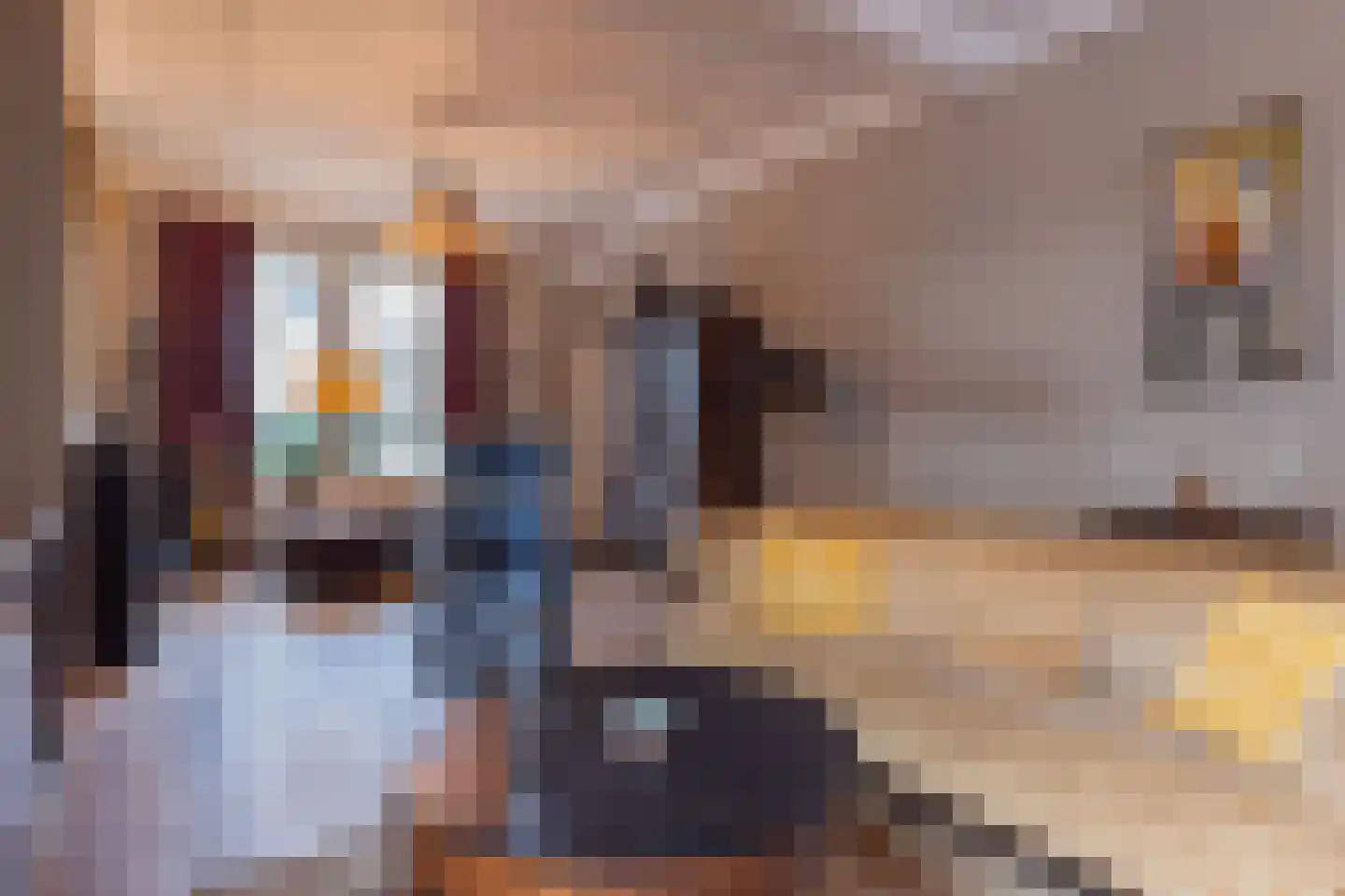 Koepoortstraat 19 Doesburg thumbnail 10