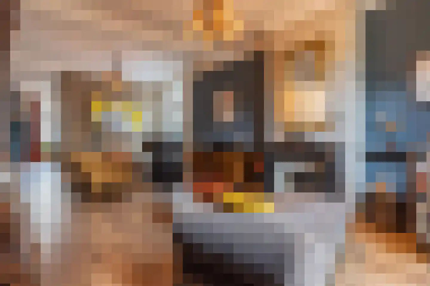 Koepoortstraat 19 Doesburg thumbnail 13