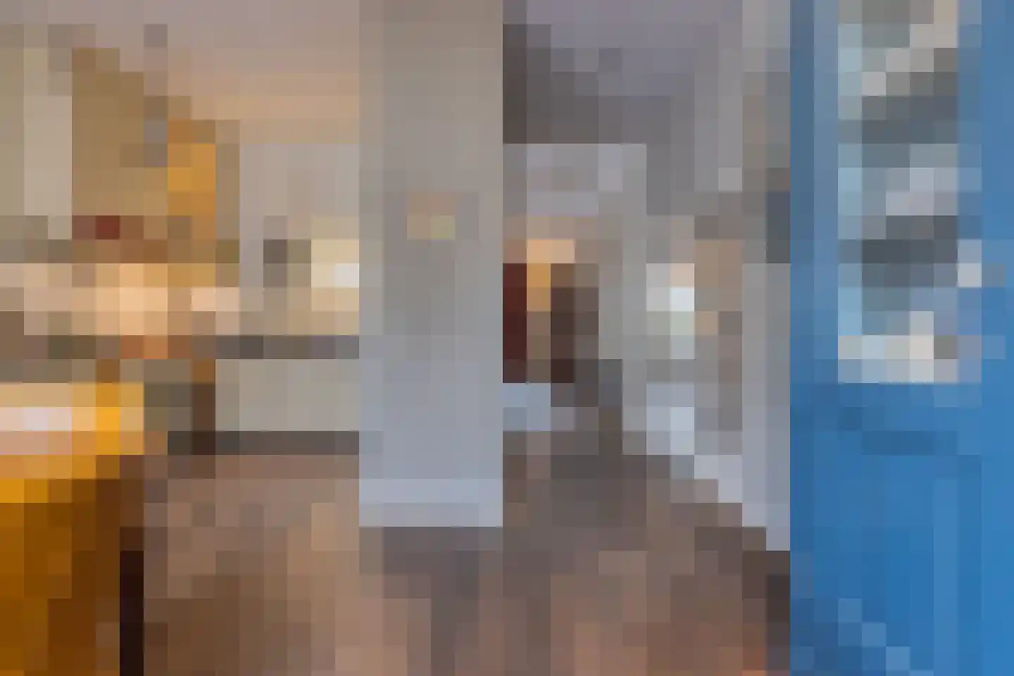 Koepoortstraat 19 Doesburg thumbnail 19
