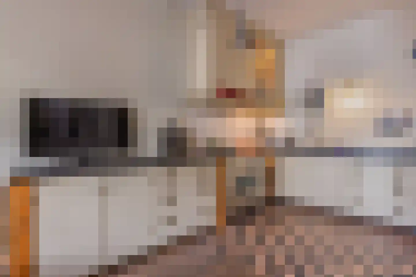 Koepoortstraat 19 Doesburg thumbnail 22