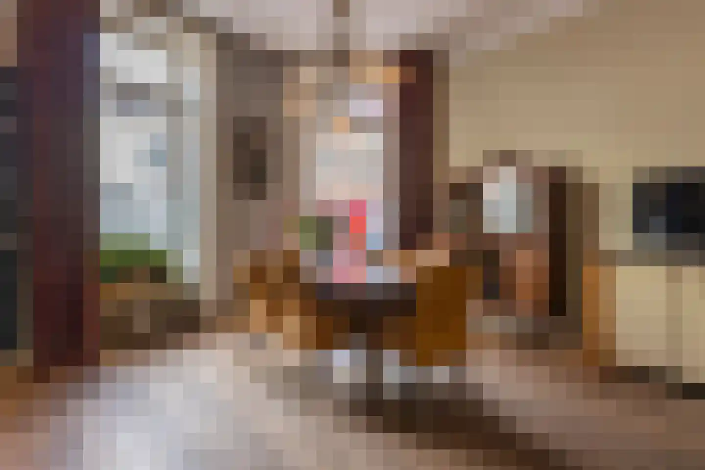 Koepoortstraat 19 Doesburg thumbnail 25