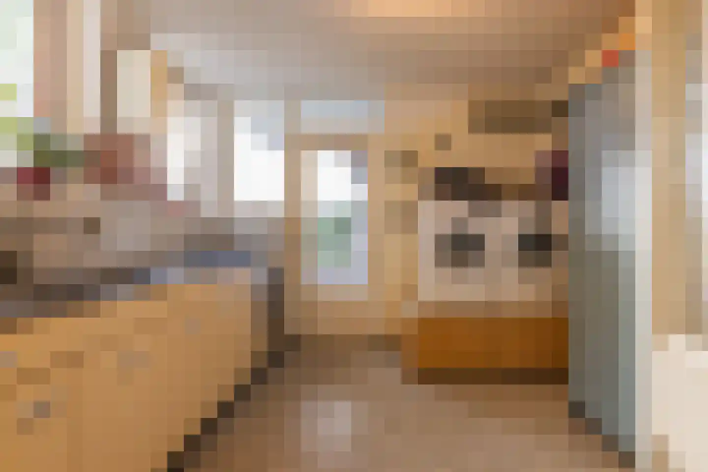 Koepoortstraat 19 Doesburg thumbnail 33
