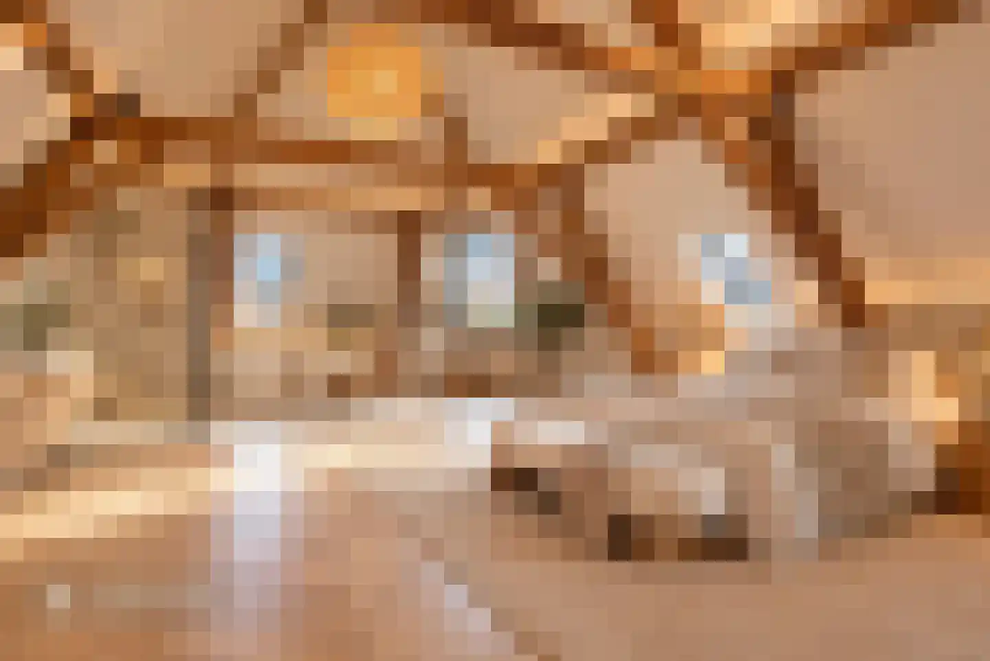 Koepoortstraat 19 Doesburg thumbnail 55