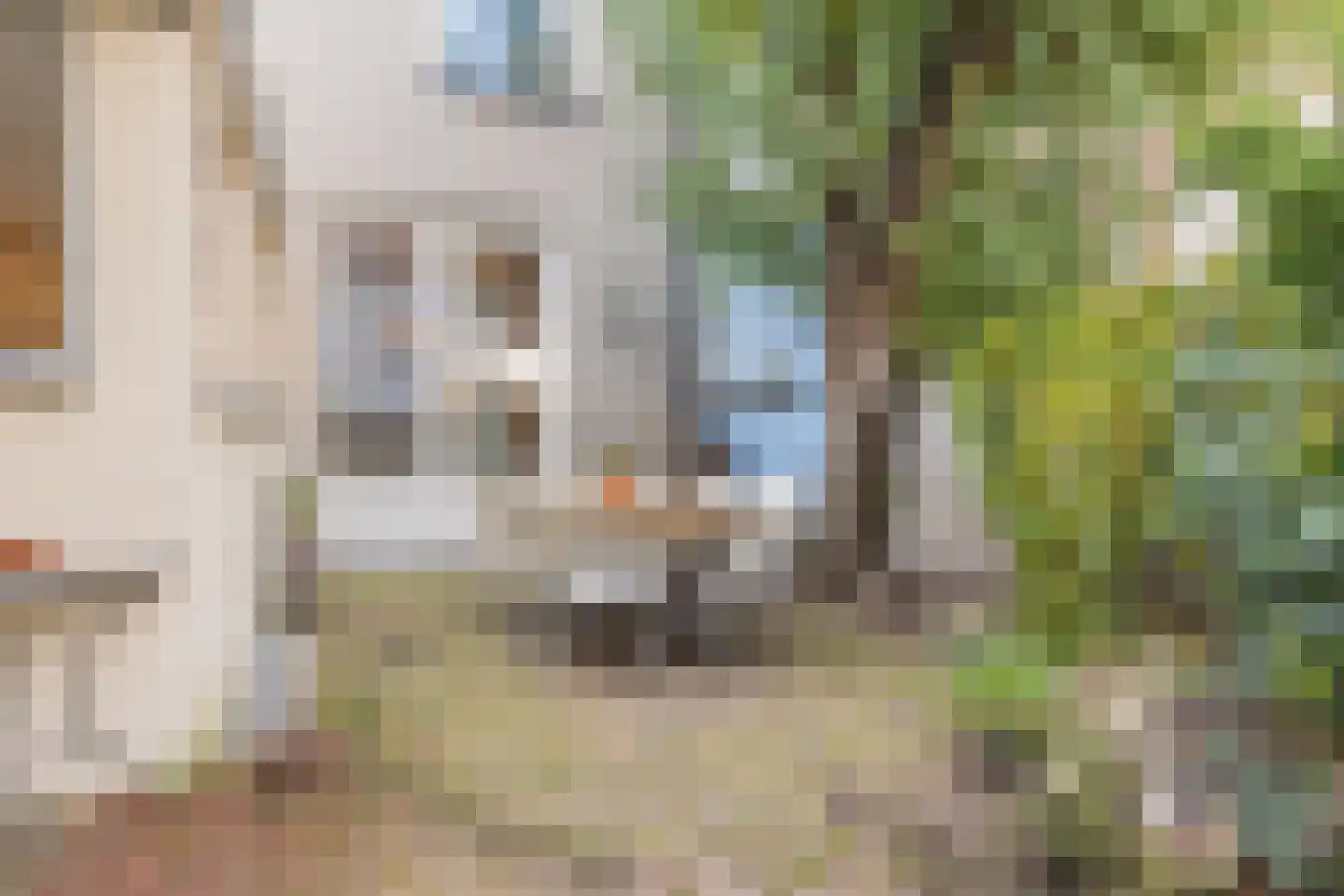 Koepoortstraat 19 Doesburg thumbnail 57