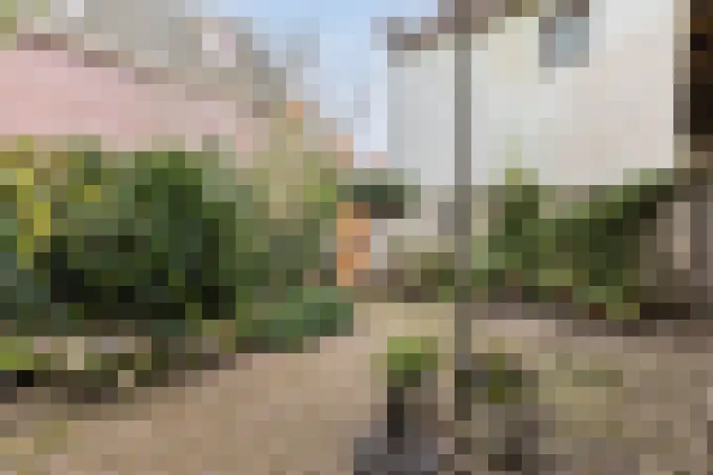 Koepoortstraat 19 Doesburg thumbnail 59