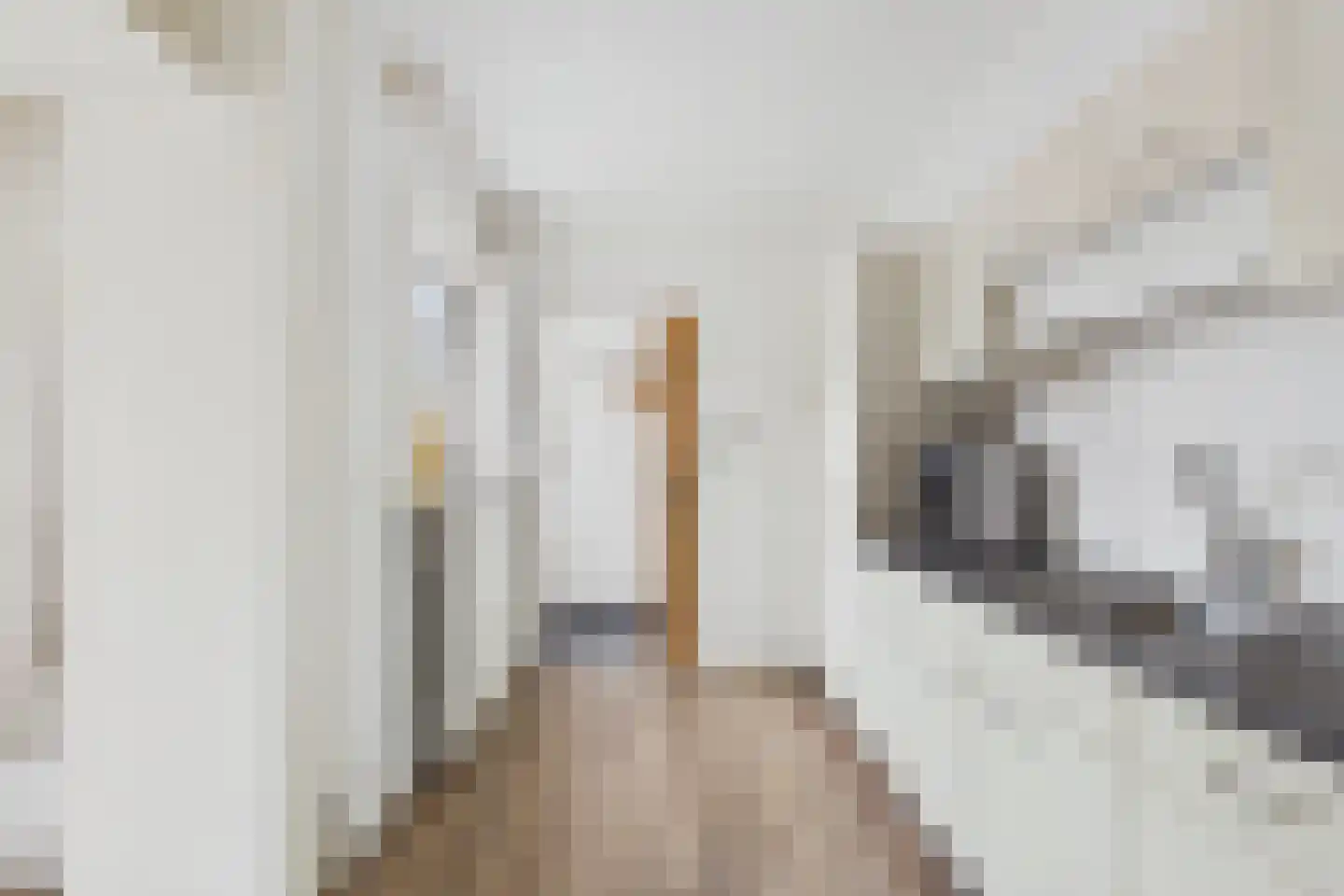 Koepoortstraat 23 Zaamslag thumbnail 11