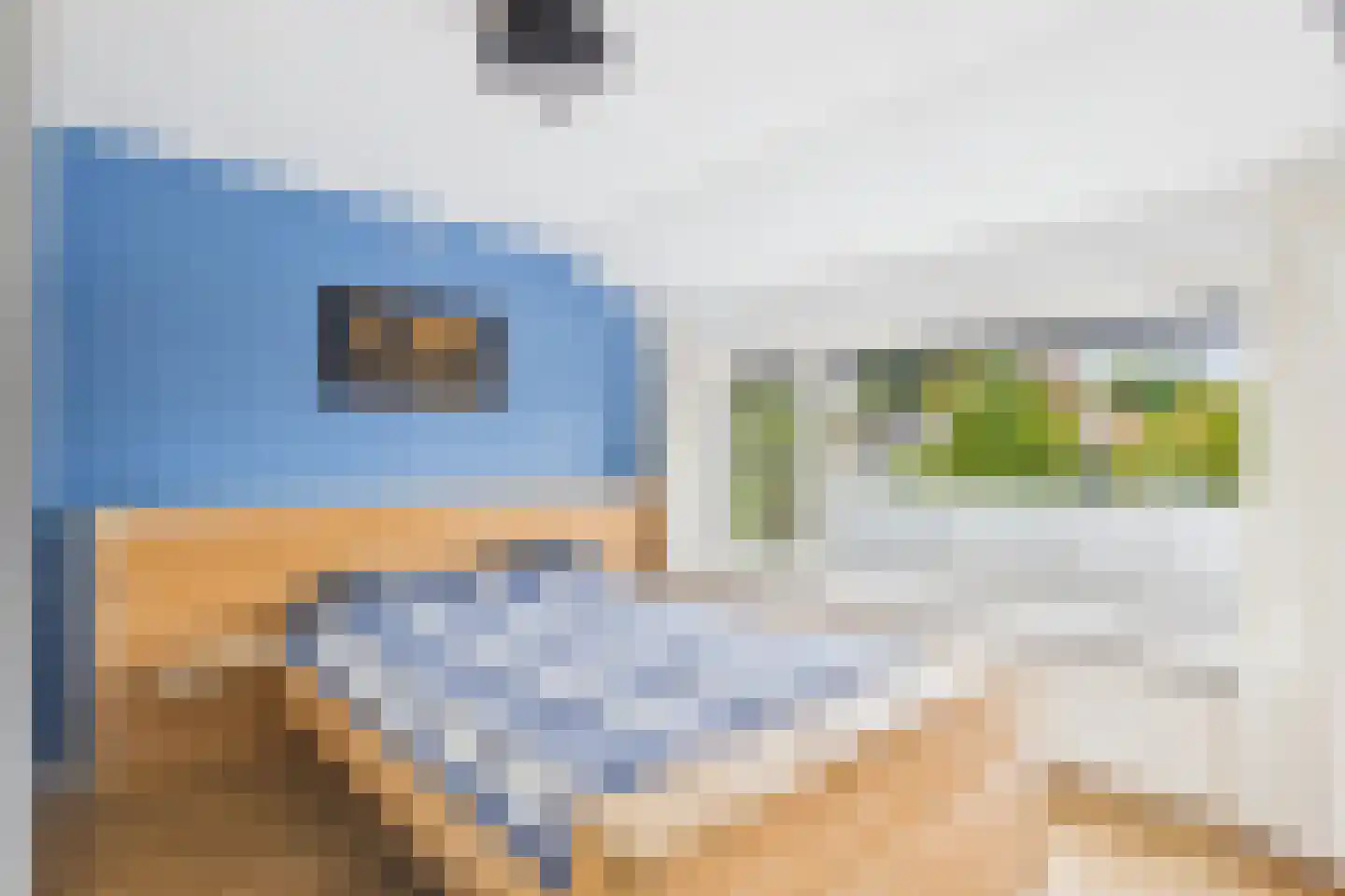 Koepoortstraat 23 Zaamslag thumbnail 19