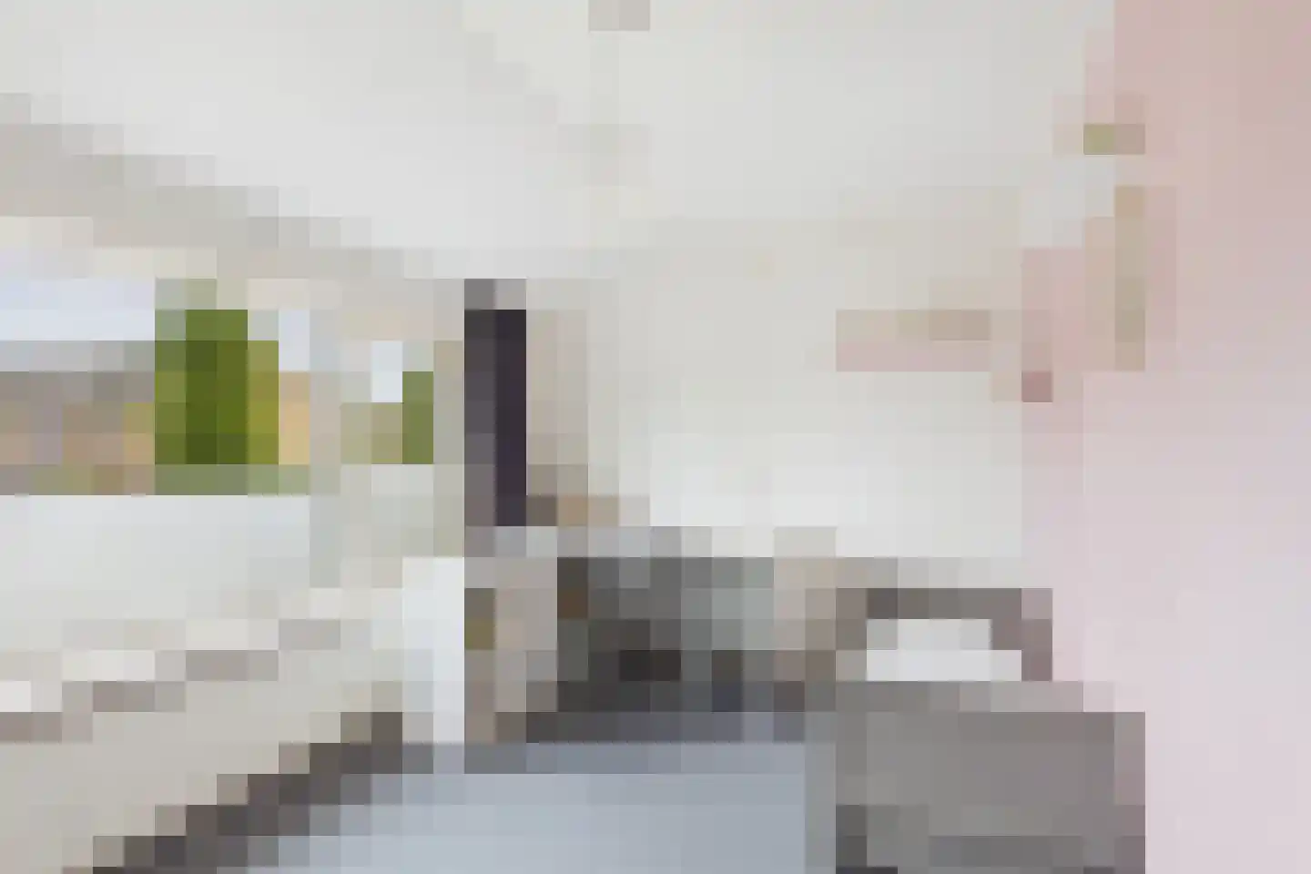 Koepoortstraat 23 Zaamslag thumbnail 23
