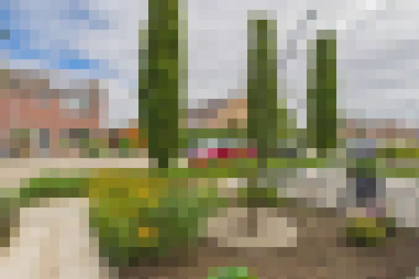 Koepoortstraat 23 Zaamslag thumbnail 31