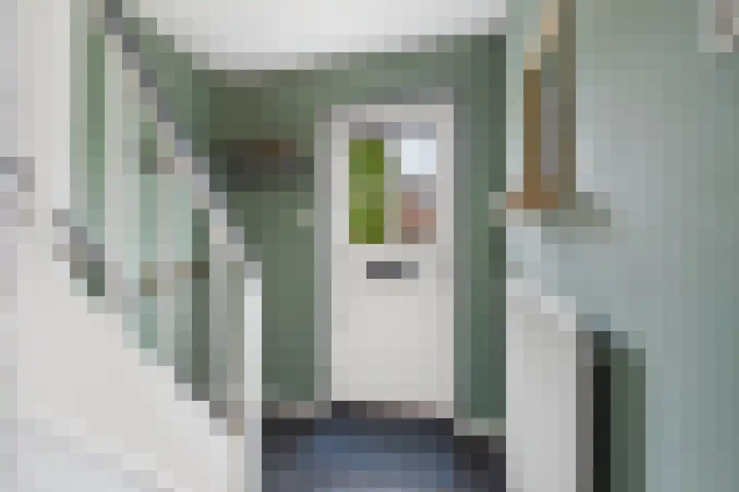 Koepoortstraat 23 Zaamslag thumbnail 8