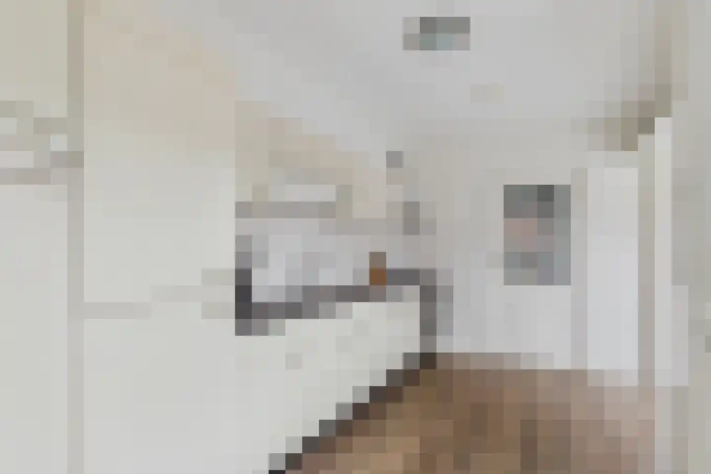 Koepoortstraat 23 Zaamslag thumbnail 9