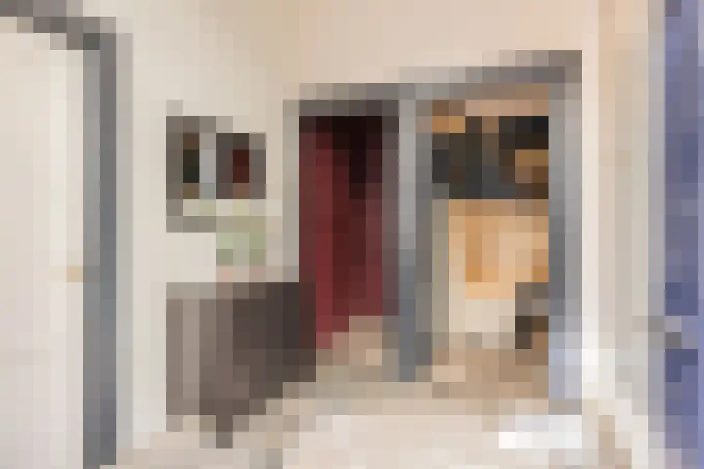Koepoortstraat 33 Doesburg thumbnail 22