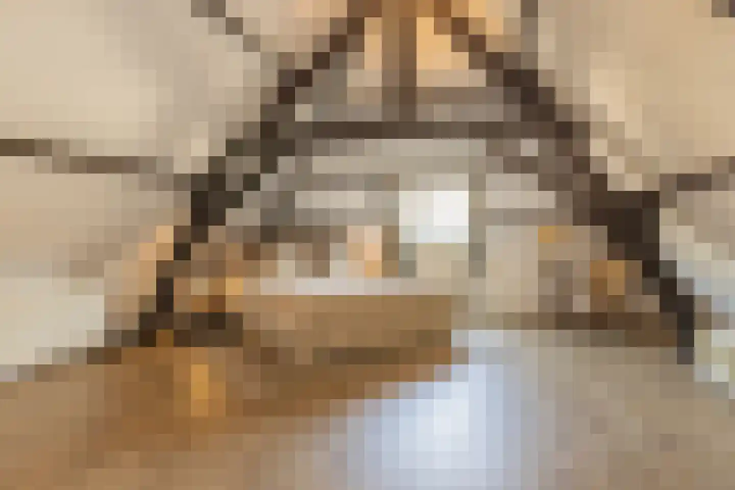 Koepoortstraat 33 Doesburg thumbnail 4