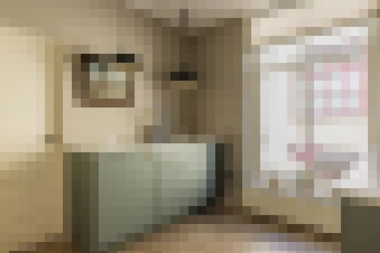Koepoortstraat 33 Doesburg thumbnail 46