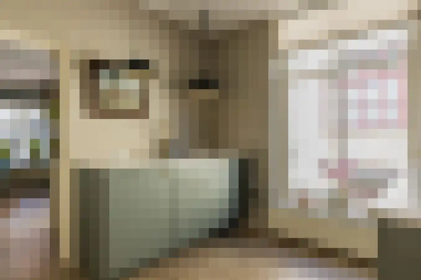 Koepoortstraat 33 Doesburg thumbnail 47