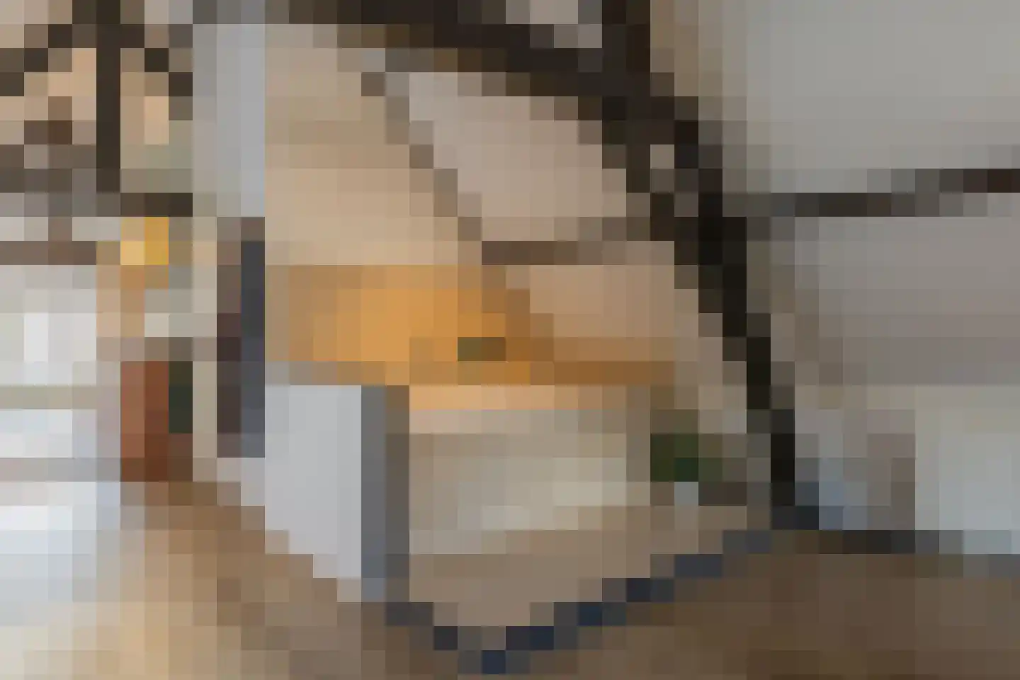 Koepoortstraat 33 Doesburg thumbnail 53