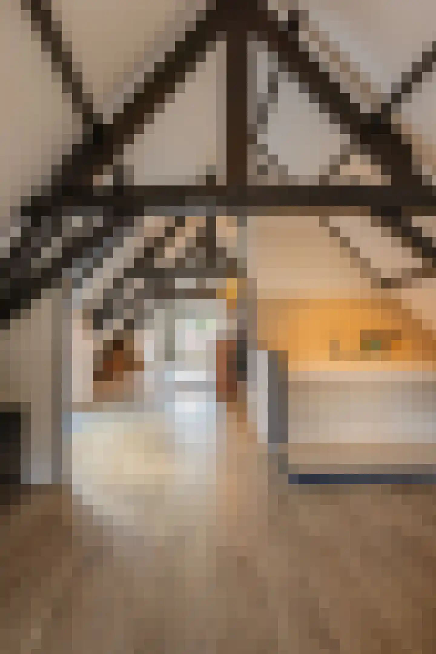 Koepoortstraat 33 Doesburg thumbnail 59