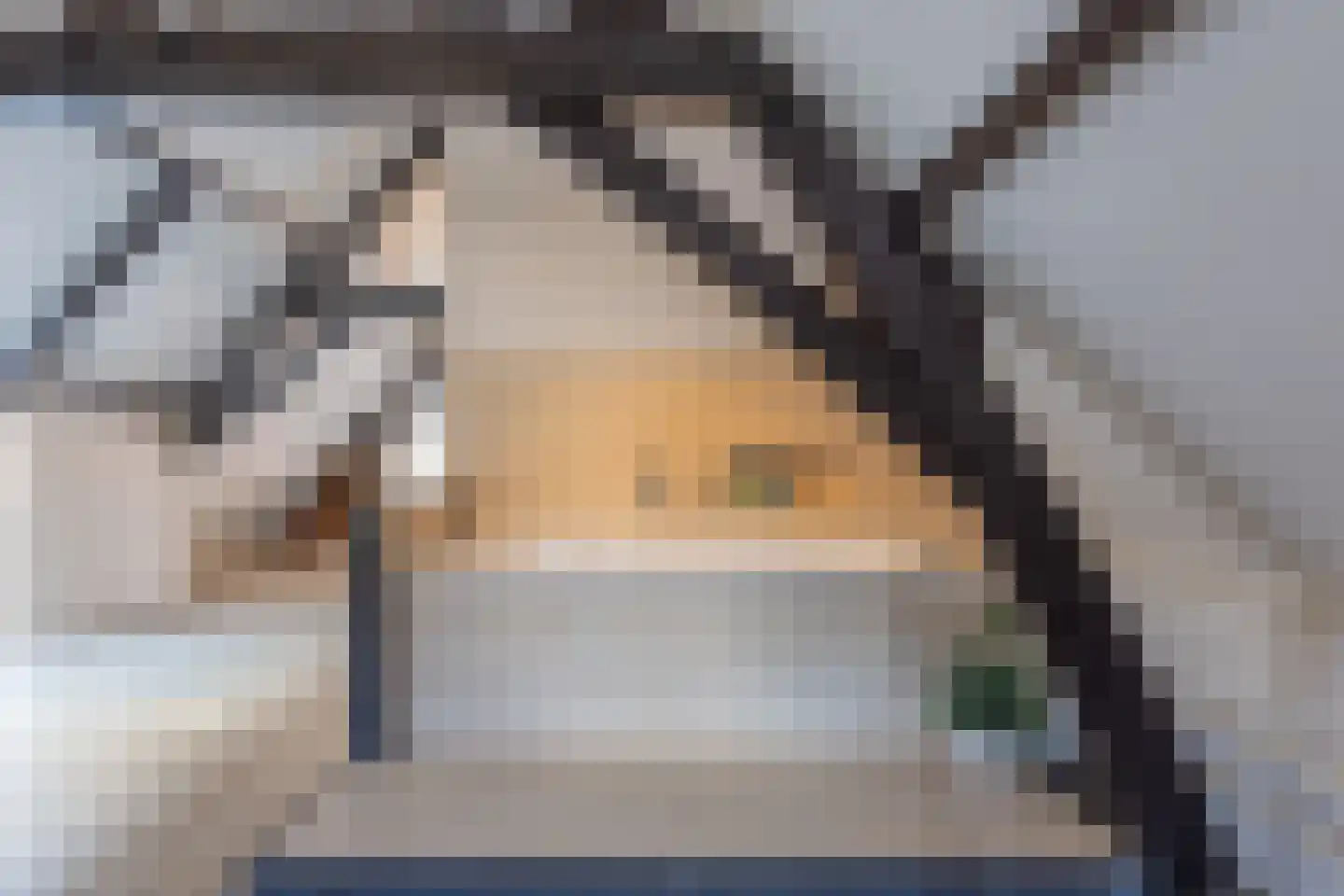 Koepoortstraat 33 Doesburg thumbnail 62
