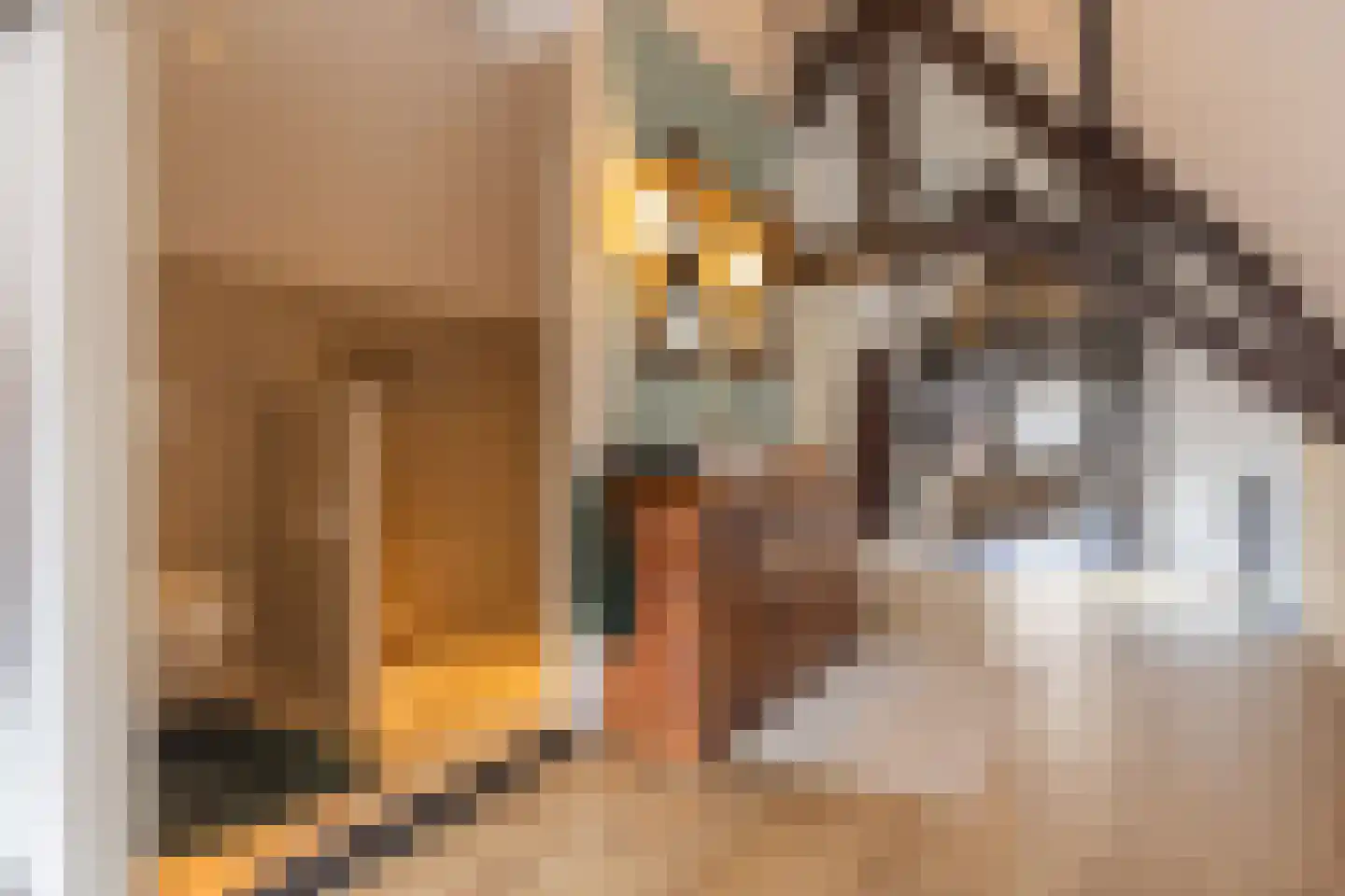 Koepoortstraat 33 Doesburg thumbnail 64