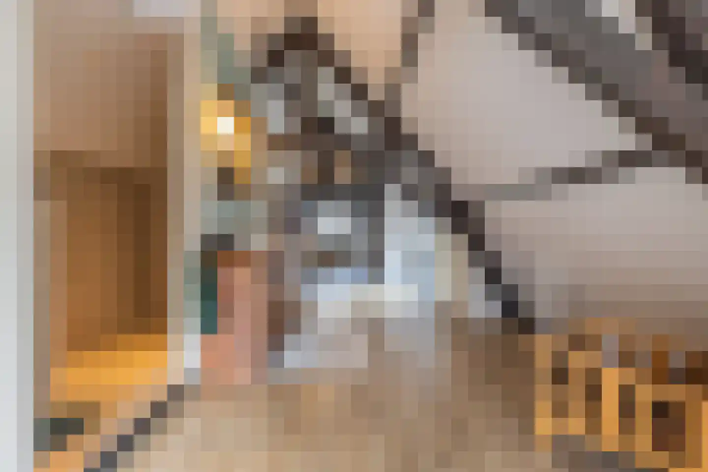 Koepoortstraat 33 Doesburg thumbnail 65