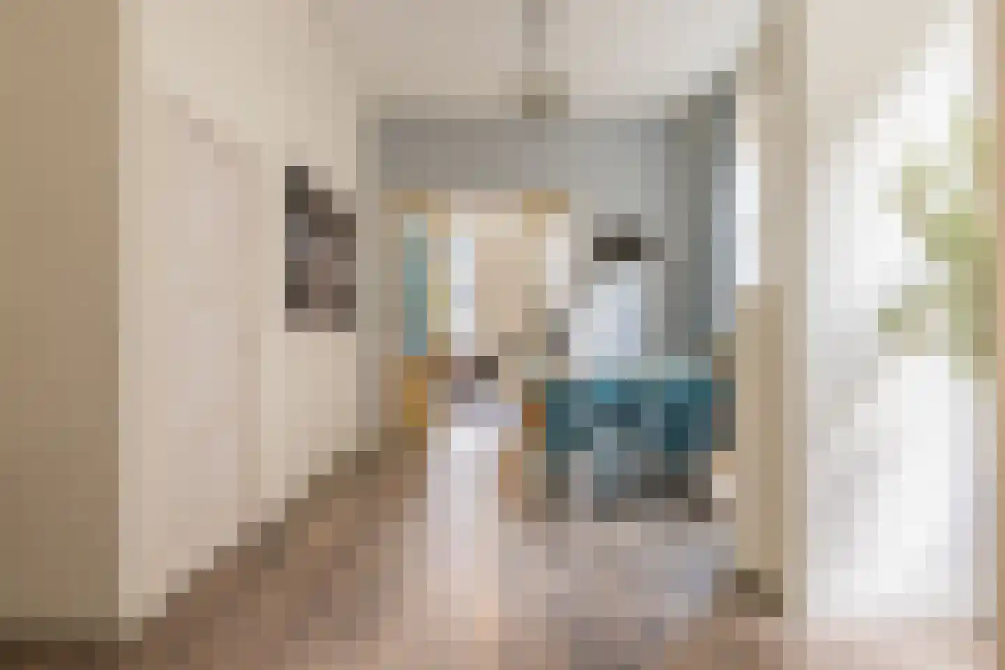 Koepoortstraat 37 Doesburg thumbnail 19