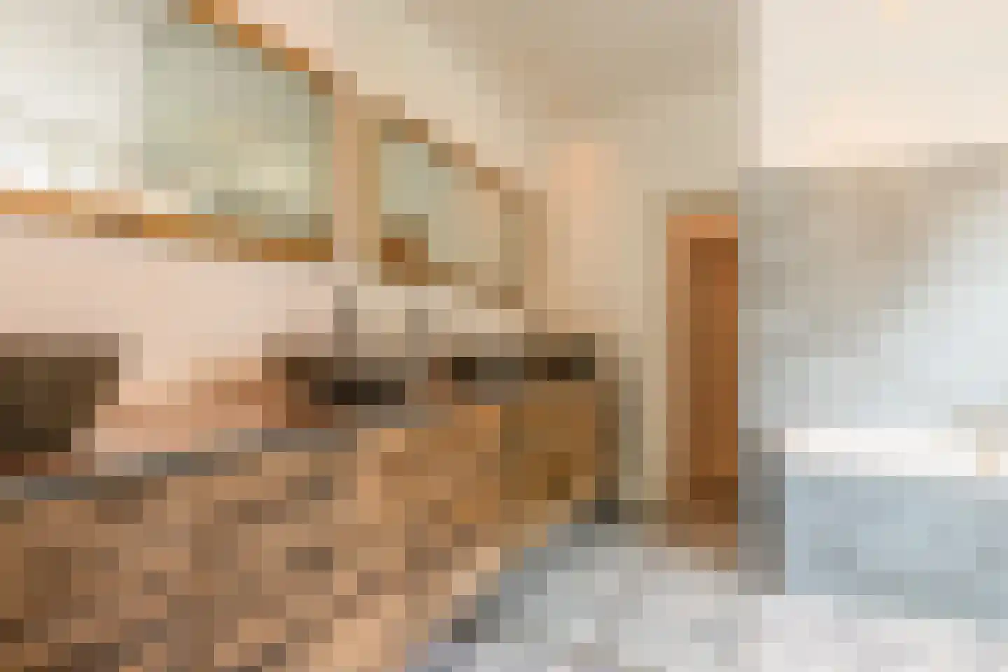 Koepoortstraat 37 Doesburg thumbnail 47