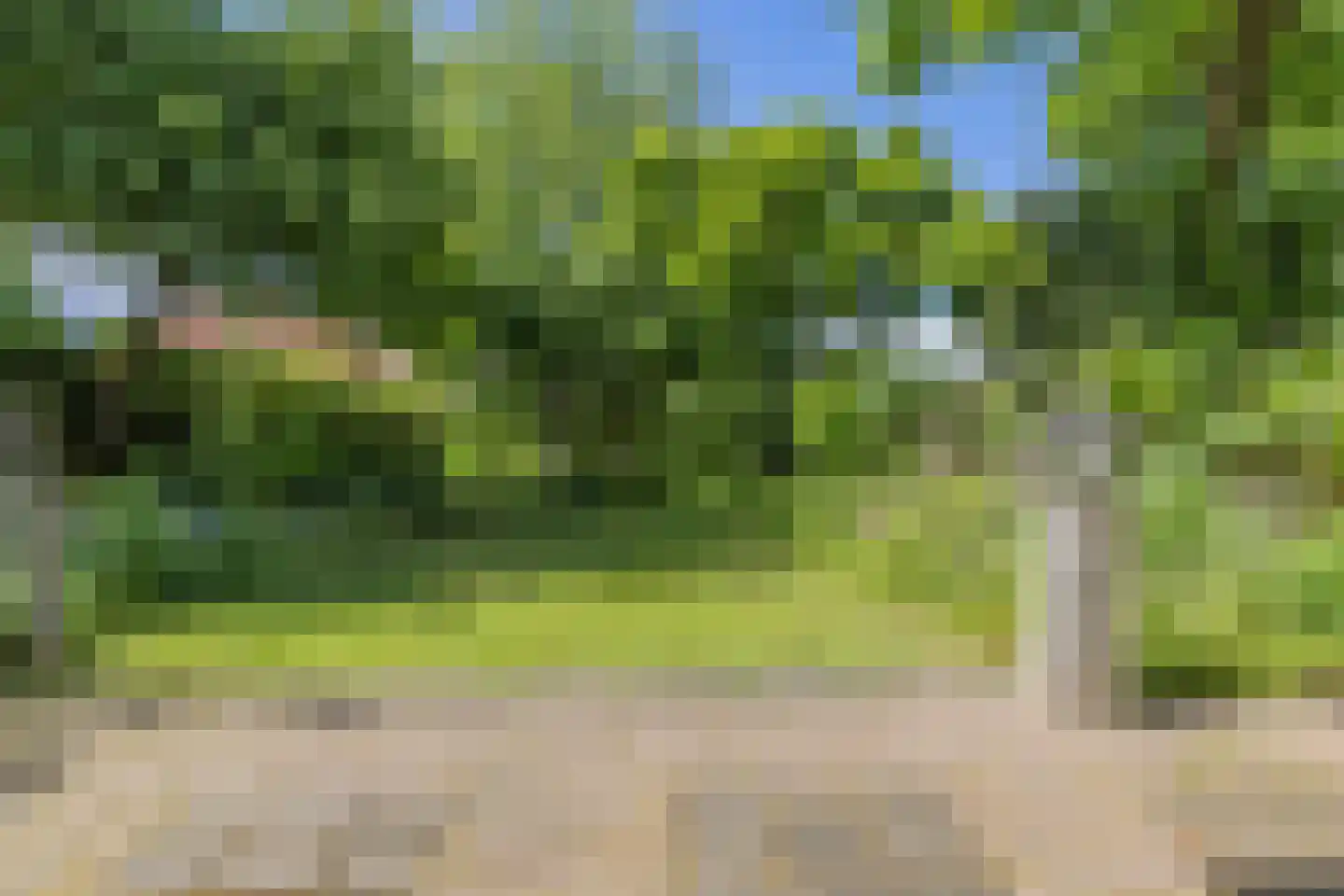 Koepoortstraat 37 Doesburg thumbnail 86