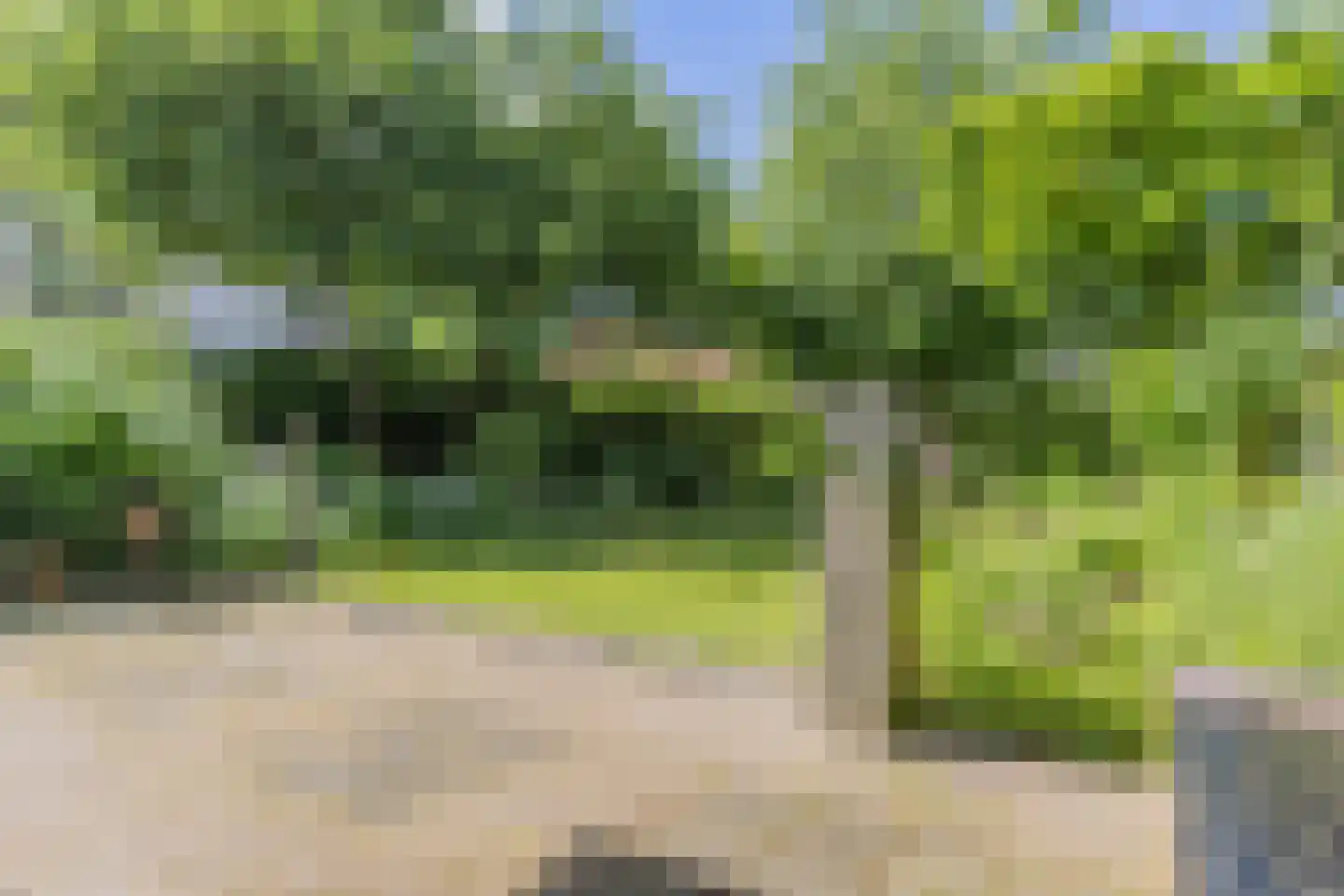 Koepoortstraat 37 Doesburg thumbnail 87