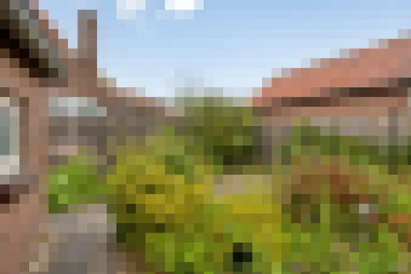 Koepoortstraat 39 Woudrichem thumbnail 26