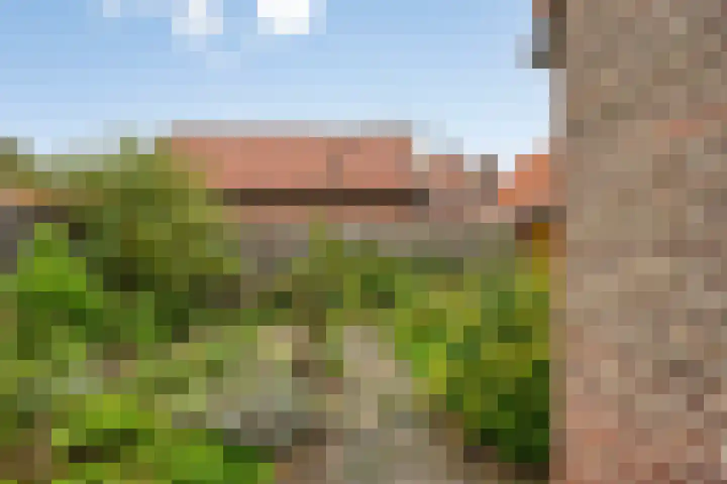 Koepoortstraat 39 Woudrichem thumbnail 28