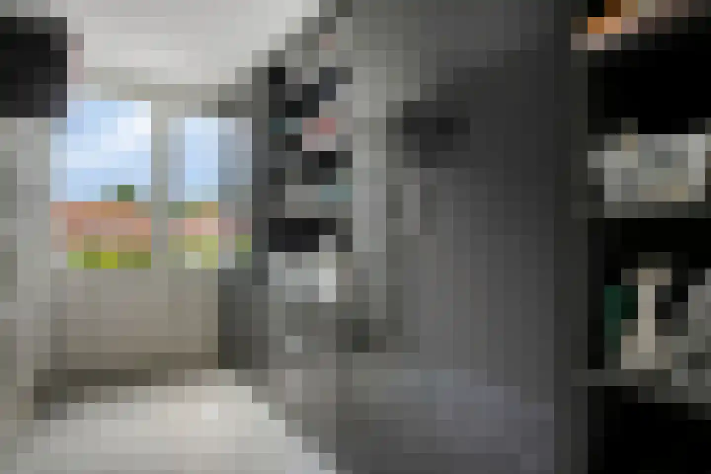 Koepoortstraat 39 Zaamslag thumbnail 21