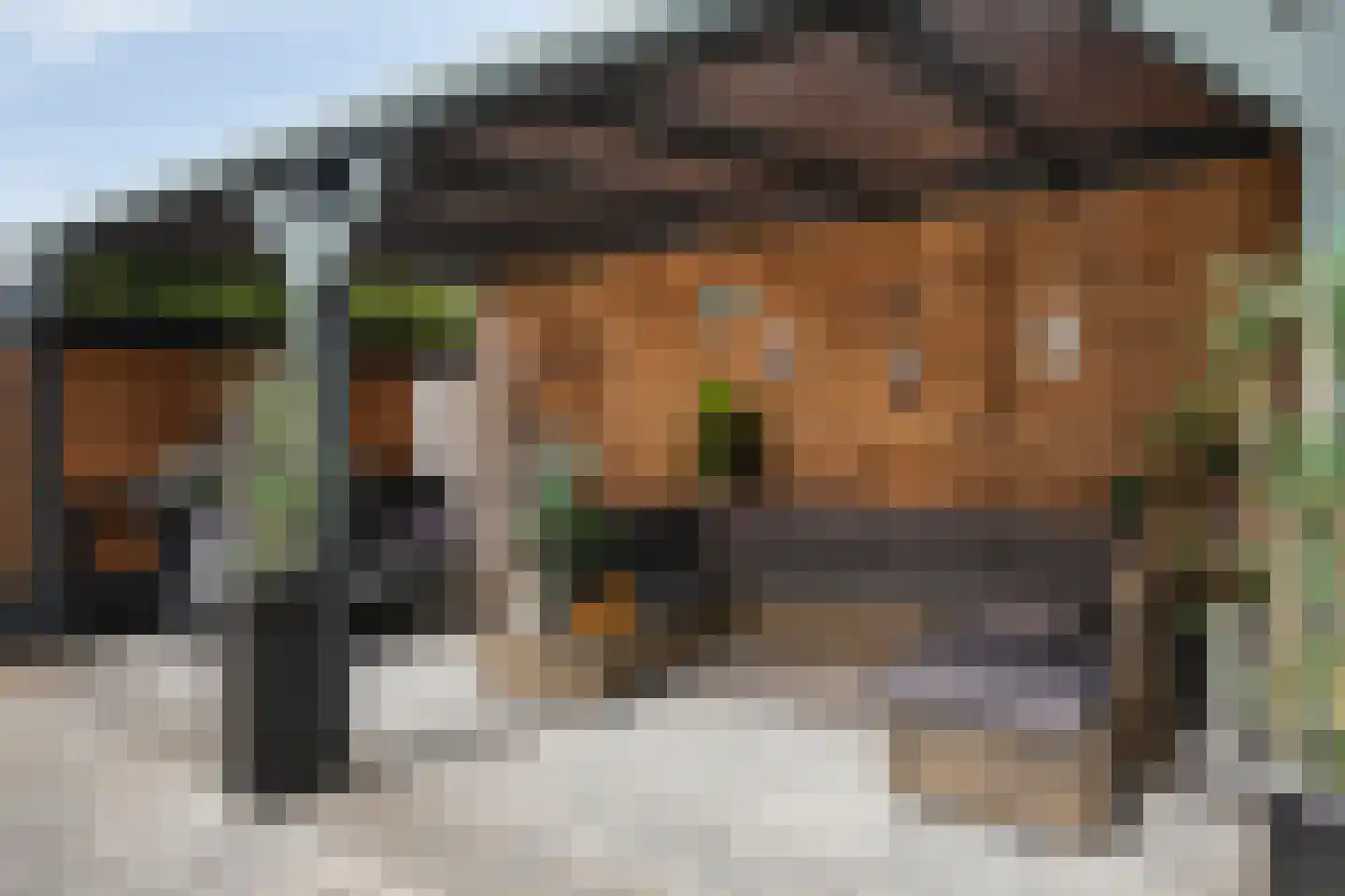 Koepoortstraat 39 Zaamslag thumbnail 25