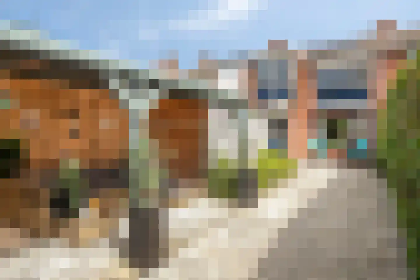 Koepoortstraat 39 Zaamslag thumbnail 27