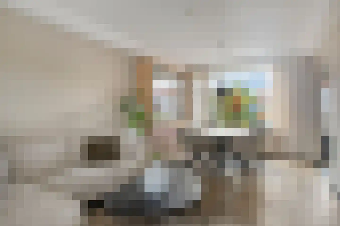 Koepoortstraat 39 Zaamslag thumbnail 8