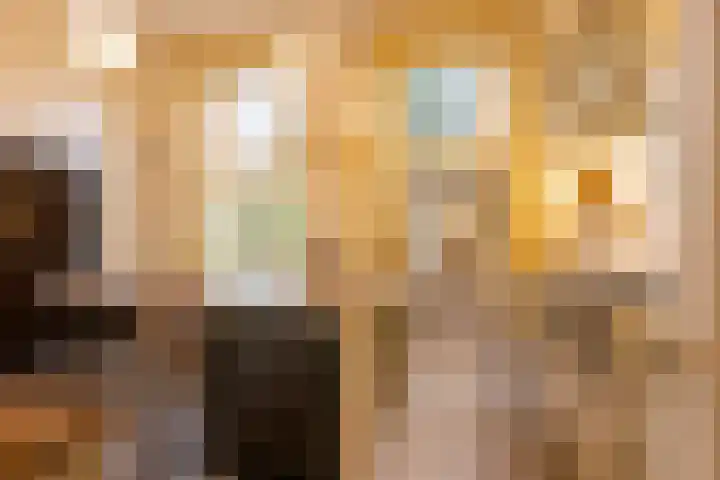 Koepoortstraat 40 Doesburg thumbnail 20