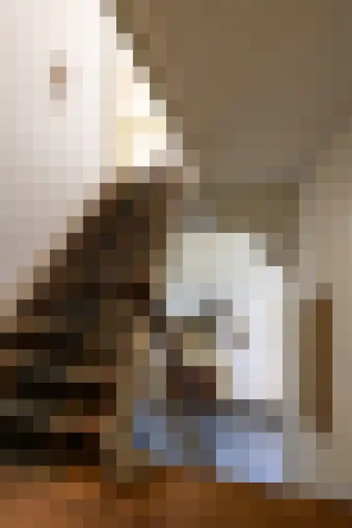 Koepoortstraat 40 Doesburg thumbnail 30