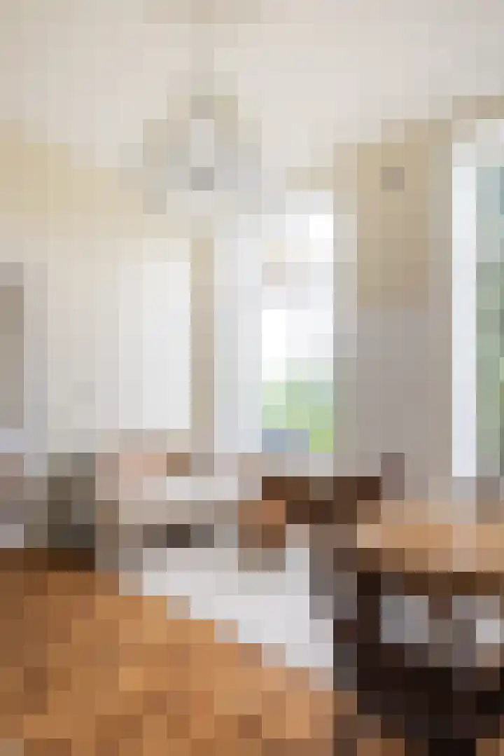 Koepoortstraat 40 Doesburg thumbnail 39