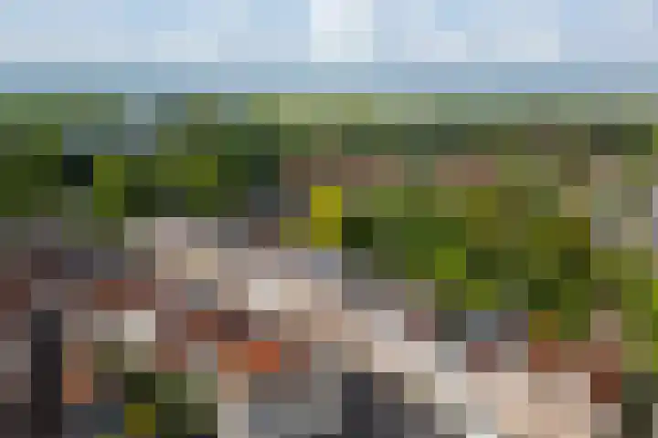 Koepoortstraat 40 Doesburg thumbnail 69
