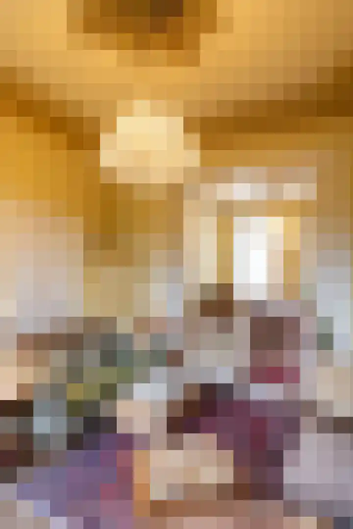 Koepoortstraat 40 Doesburg thumbnail 7