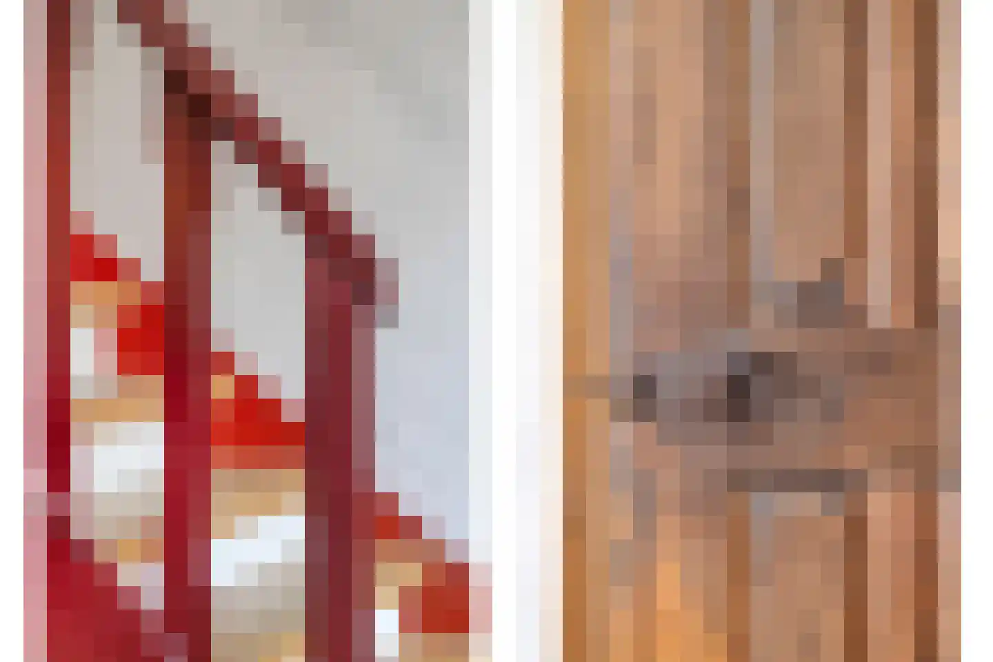 Koepoortstraat 6 Doesburg thumbnail 13