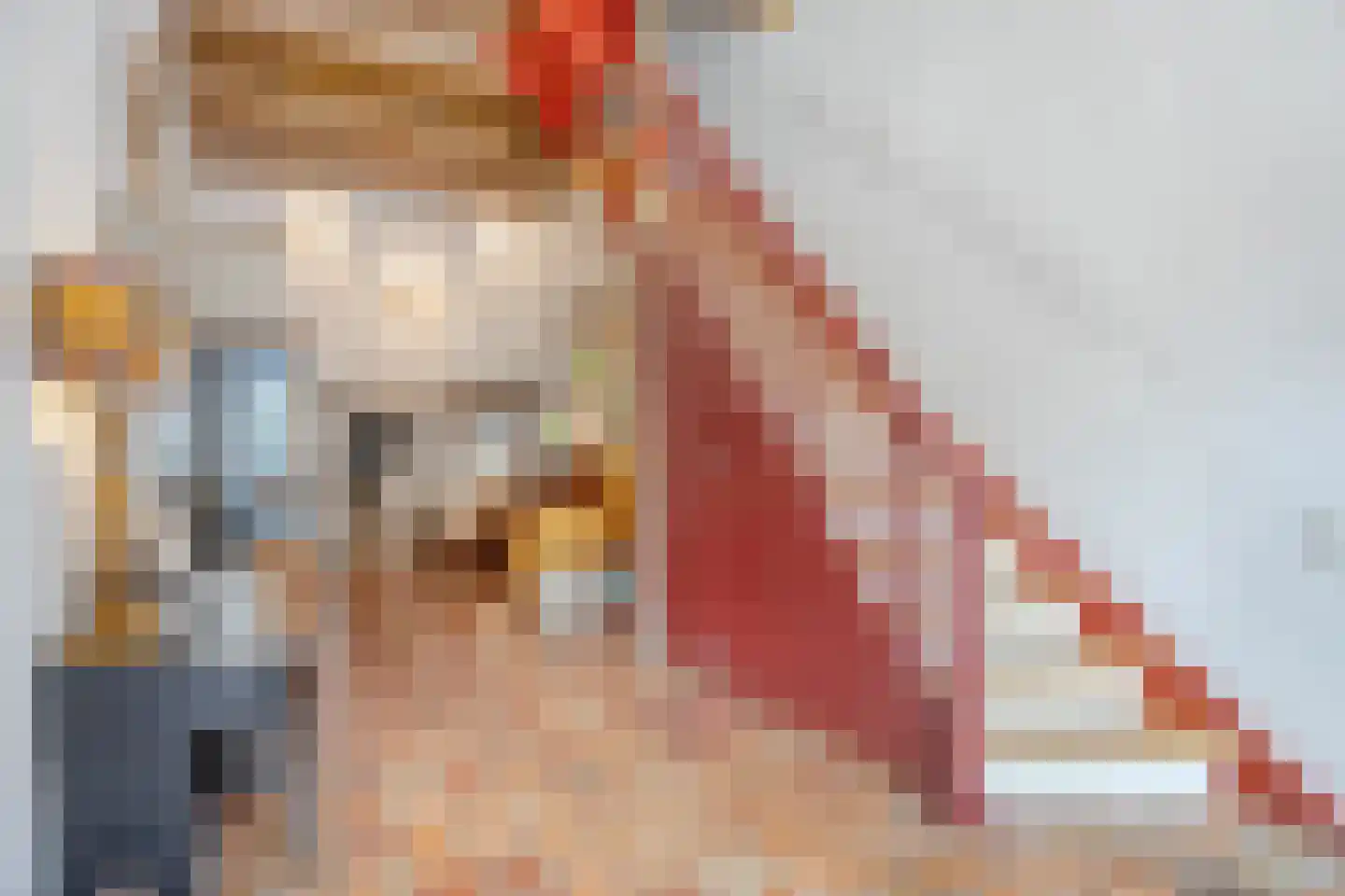 Koepoortstraat 6 Doesburg thumbnail 15