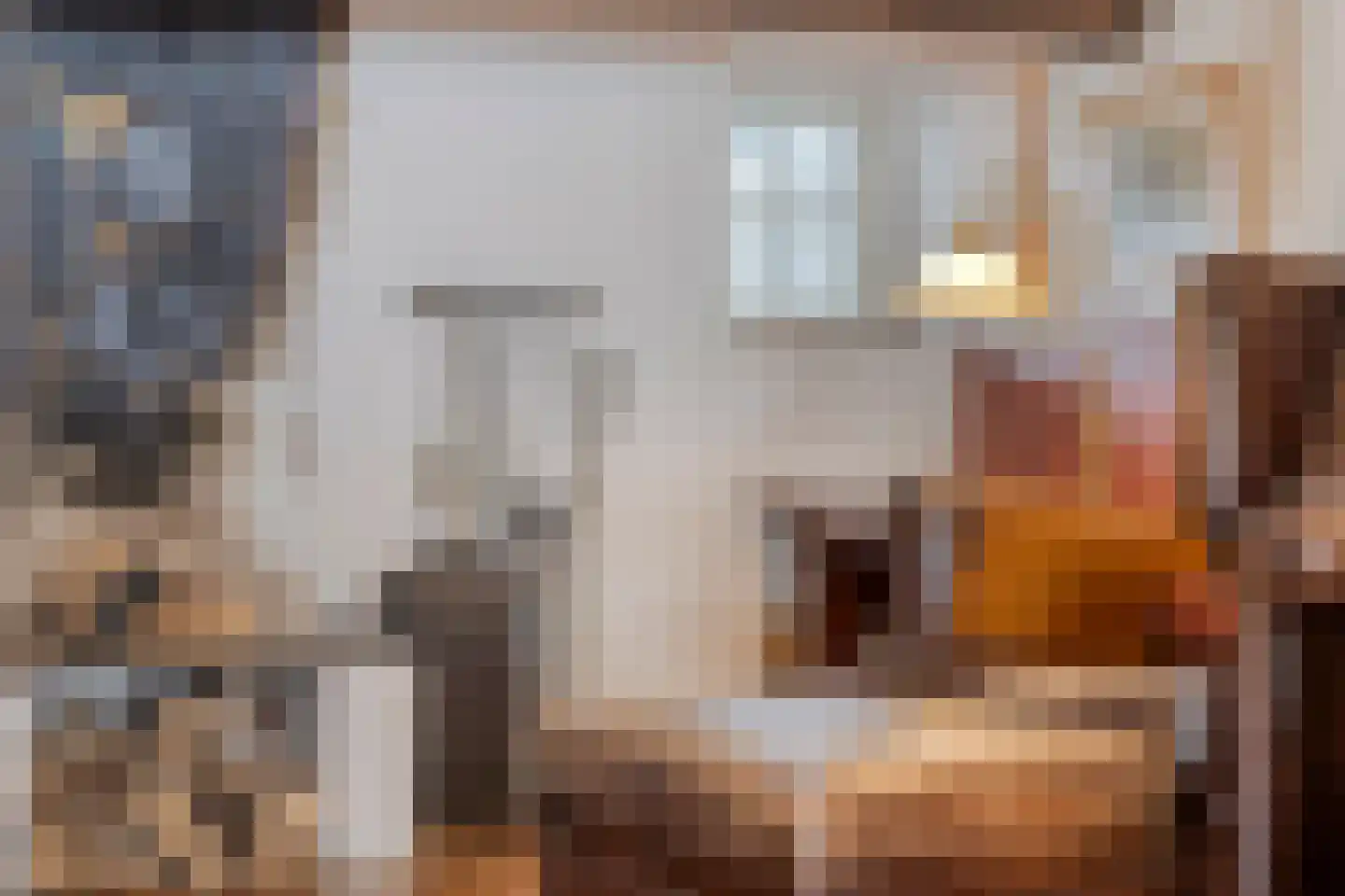 Koepoortstraat 6 Doesburg thumbnail 20
