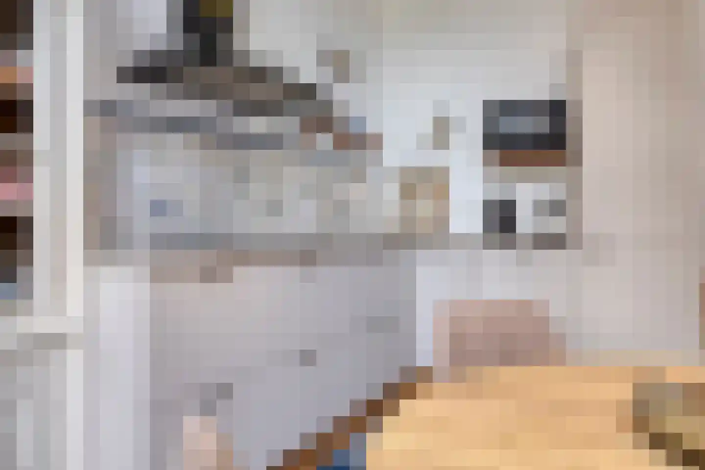 Koepoortstraat 6 Doesburg thumbnail 24