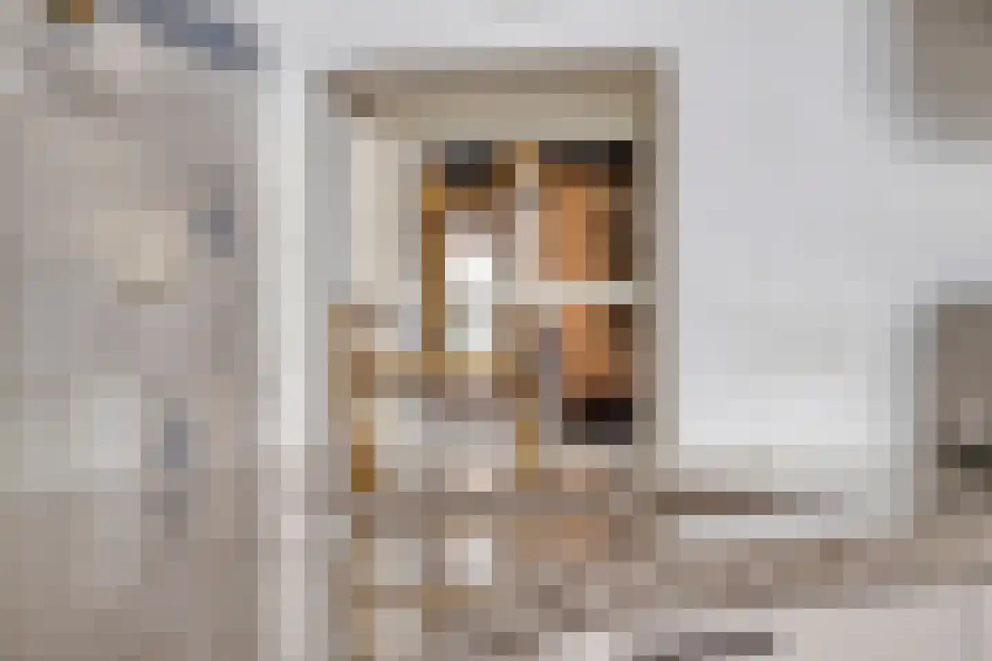 Koepoortstraat 6 Doesburg thumbnail 27