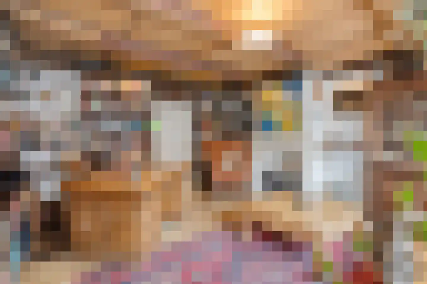 Koepoortstraat 6 Doesburg thumbnail 36