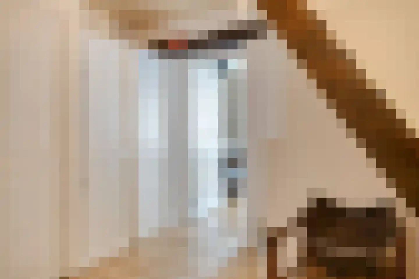 Koepoortstraat 6 Doesburg thumbnail 39