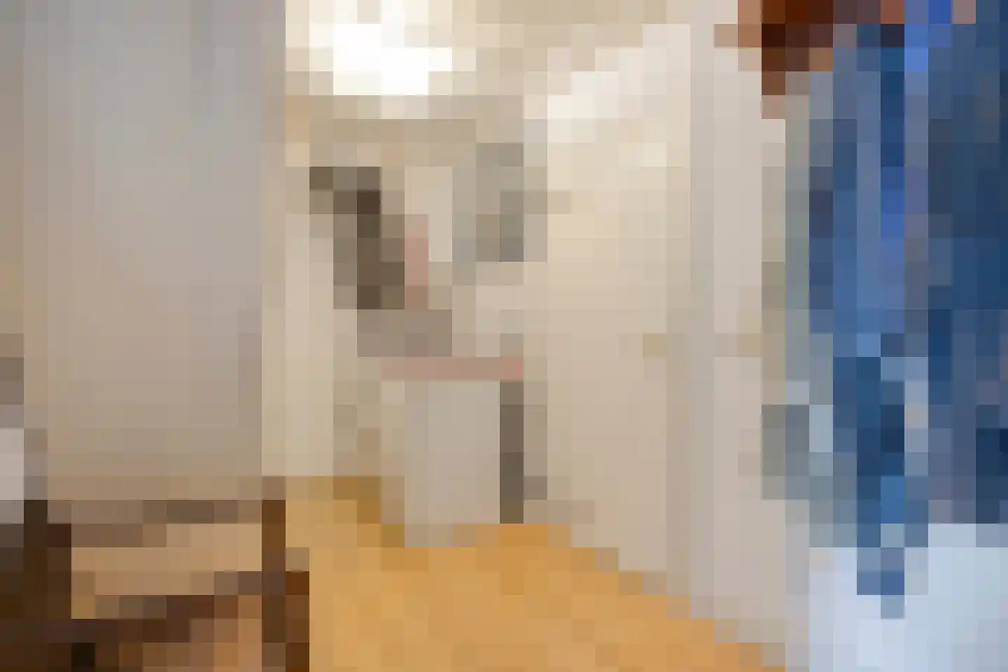 Koepoortstraat 6 Doesburg thumbnail 43