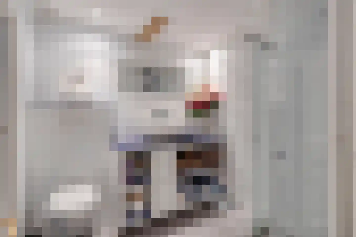 Koepoortstraat 6 Doesburg thumbnail 44