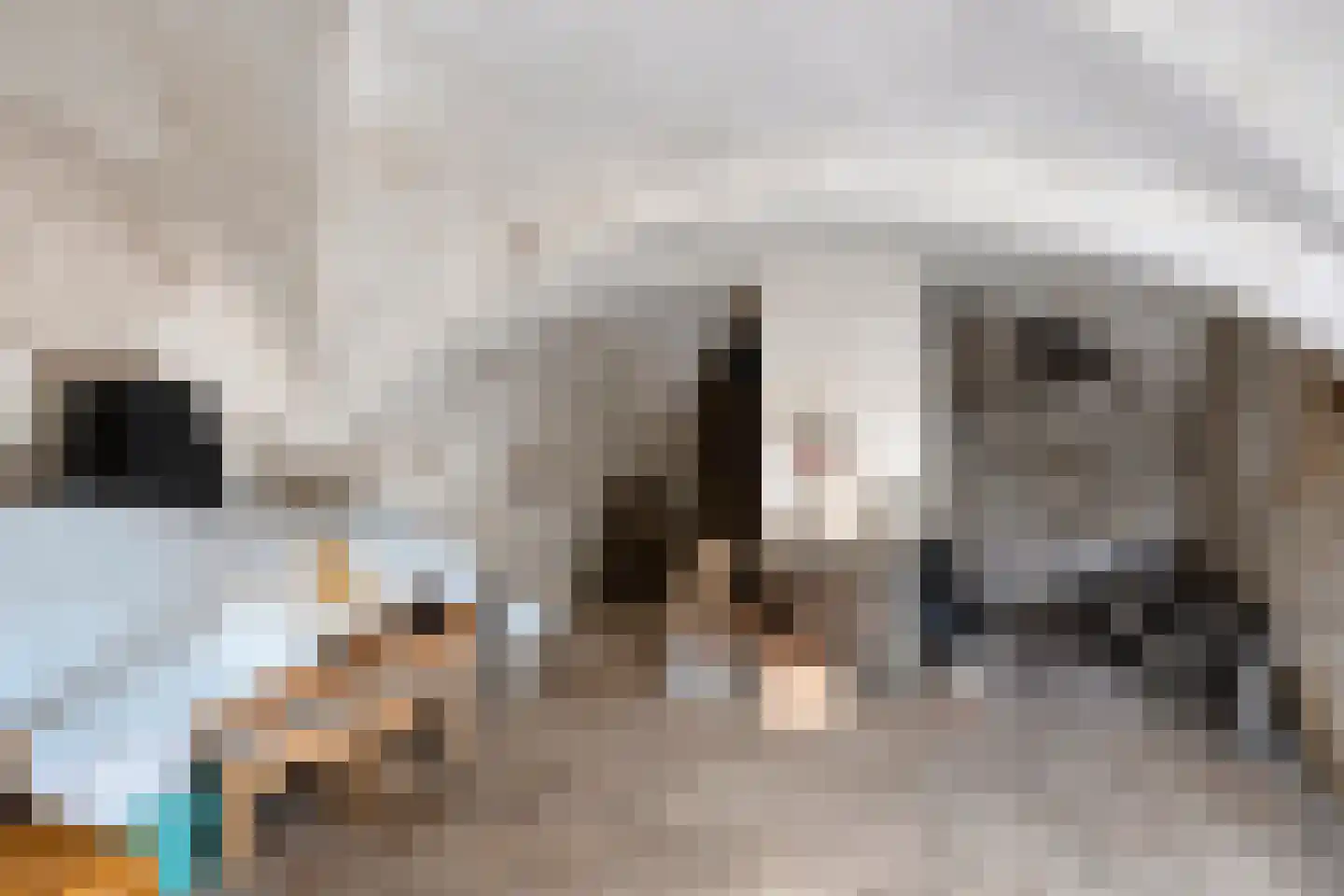 Koepoortstraat 6 Doesburg thumbnail 50